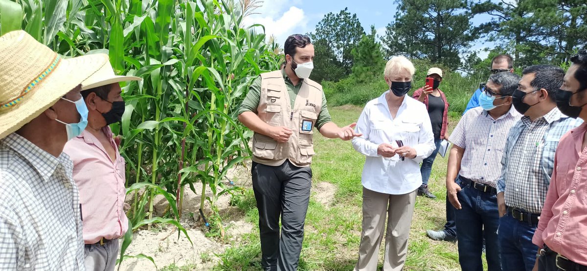 RCastro_CR's tweet photo. En Belen, Lempira, #Honduras, comprobamos el efecto de las inversiones de @IFADespanol
Un sistema de riego de 50 Kms ha multiplicado por 4 y diversificado la producción agricola.
Seguimos con el media tour de @IFAD, @WFP_es, @FAOenEspanol y @USUNRome, con @USUNRomeAmb https://t.co/4wZ6kK2lFp