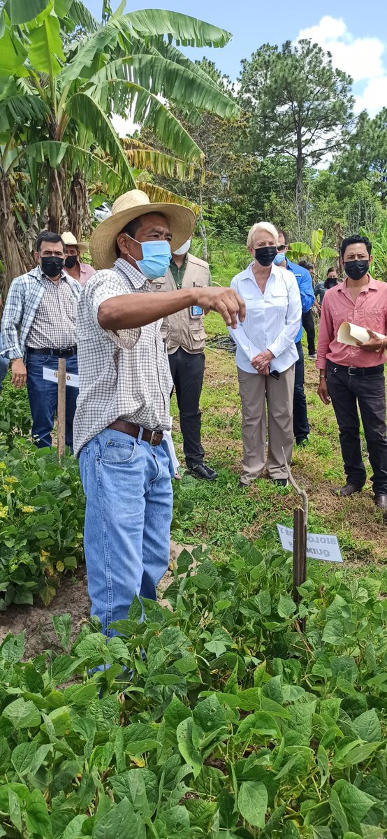 RCastro_CR's tweet photo. En Belen, Lempira, #Honduras, comprobamos el efecto de las inversiones de @IFADespanol
Un sistema de riego de 50 Kms ha multiplicado por 4 y diversificado la producción agricola.
Seguimos con el media tour de @IFAD, @WFP_es, @FAOenEspanol y @USUNRome, con @USUNRomeAmb https://t.co/4wZ6kK2lFp