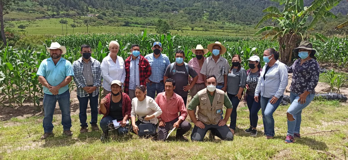 RCastro_CR's tweet photo. En Belen, Lempira, #Honduras, comprobamos el efecto de las inversiones de @IFADespanol
Un sistema de riego de 50 Kms ha multiplicado por 4 y diversificado la producción agricola.
Seguimos con el media tour de @IFAD, @WFP_es, @FAOenEspanol y @USUNRome, con @USUNRomeAmb https://t.co/4wZ6kK2lFp