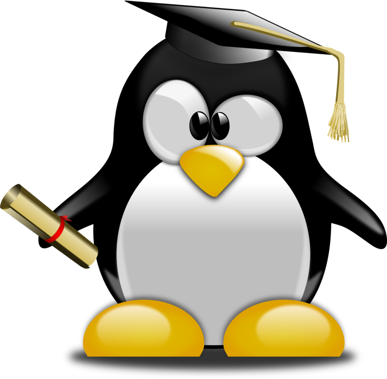 tuxdex's tweet photo. More than 15% of our new index are academic articles and pages. Search anonymous and without ads: https://t.co/SA6IOgpceN
#search #websearch #education #edu #searchegine #anonymous #privacy #nocookie #cookiefree #noads #adsfree #internet #web #www https://t.co/ABlLXbo1J8