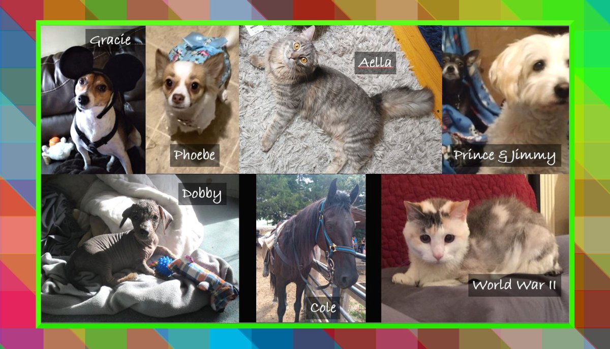 CustomerImpact's tweet photo. Pets of the Reps is back again! This week includes a horse! 

Have a great weekend everyone! 

 😎🐶🐱🐴

#HappyFriday #SummerVibes https://t.co/NXXZwznaNk