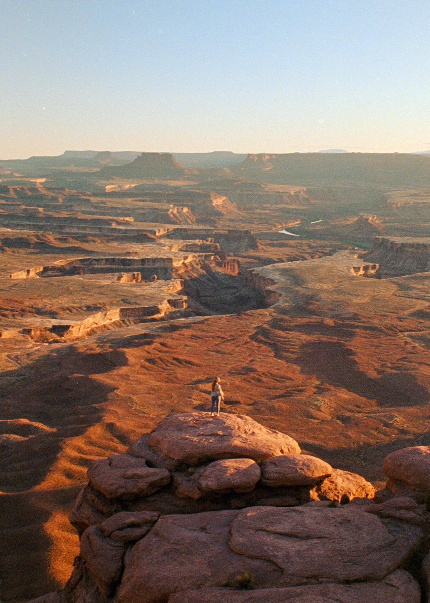 Portra Papi tweet media