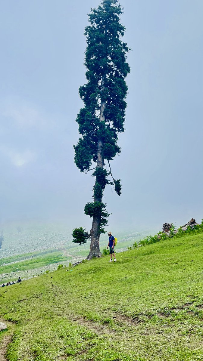 Shah18shahid's tweet photo. Gangabal Lake 📍 https://t.co/N2sbMjvSNt