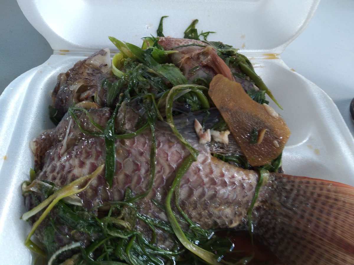 AMEXCID on Twitter "RT FAOCaribbean TT aquaculture stakeholders