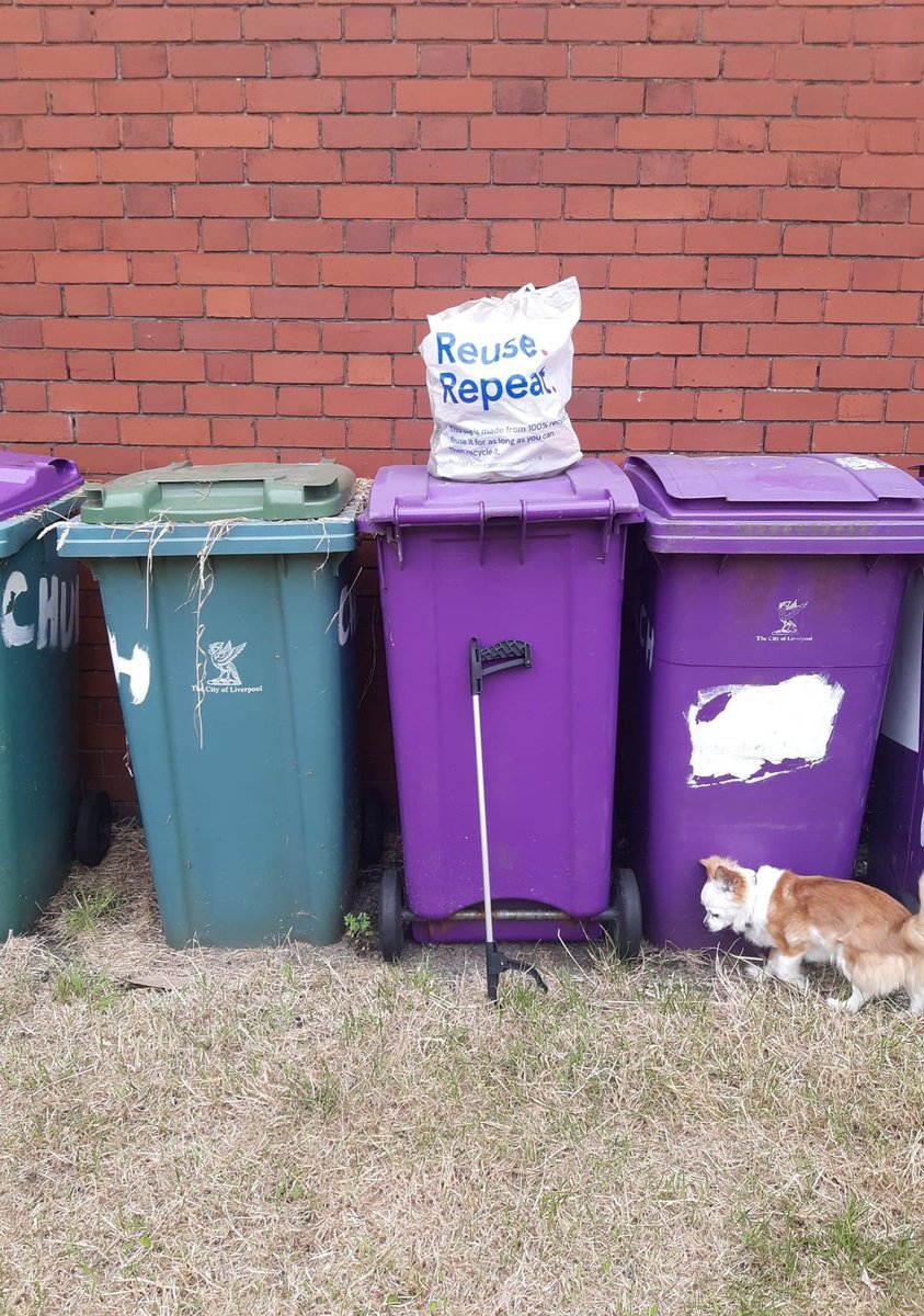 PennyLnWombles's tweet photo. Gill had a post work womble 0 underpants 1 Mo Salah card #pennylanewombles #plasticpollution
#pennylane #binit #recycle #cleanup
#litterrevolution #litterattractslitter
#litterheroes #trashpicker #recycle
#lovewhereyoulive #binfluencers
#keepbritaintidy #garbagepickers https://t.co/PJ9UJ5Hgrb