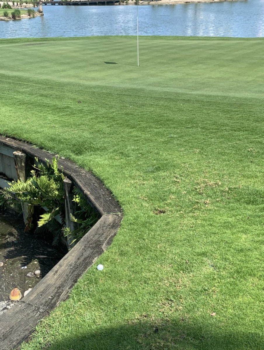 Caddie Network tweet media