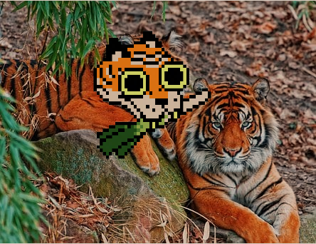 Joao_F_Melo's tweet photo. @tigerbobNFT Happy international Tiger day......🐯🥰🌱 https://t.co/e8GJx7BvTz