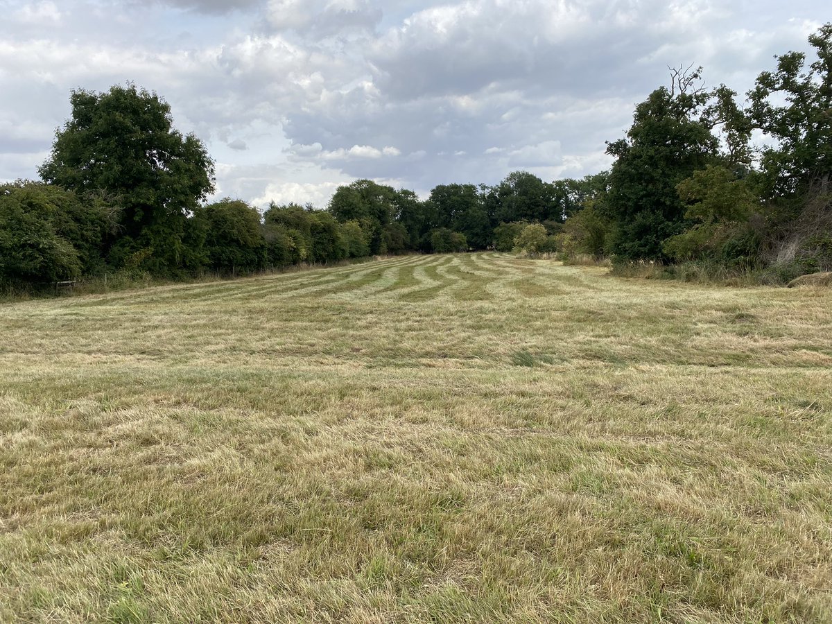That’s Southorpe Meadow hay cutting done for the year. 3 days of cutting in our little John Deer. <a href="/wildlifebcn/">The Wildlife Trust for Beds, Cambs & Northants</a> @WestCambsReservesTeam