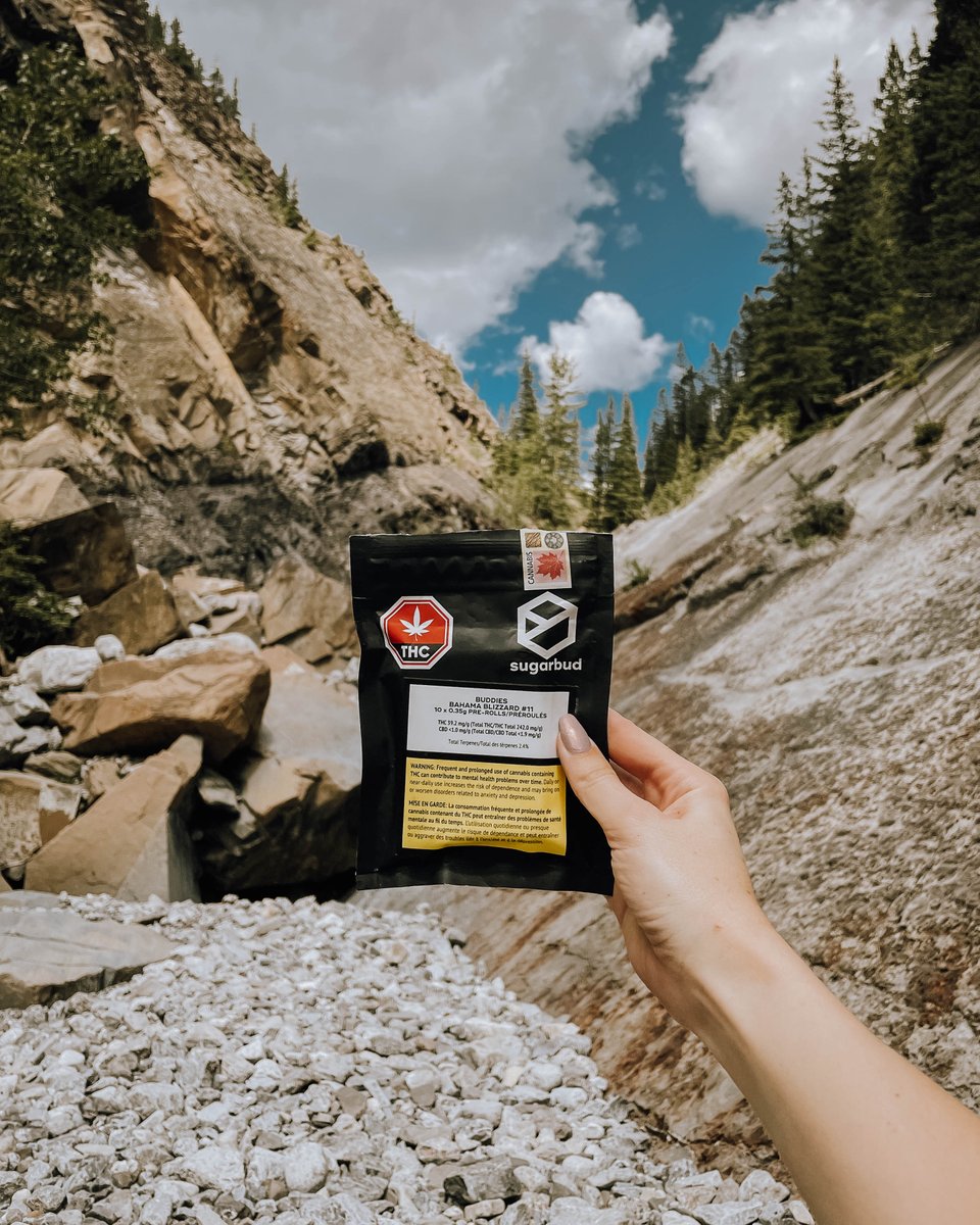 Wherever your long weekend takes you… hope to see you there! We’re bringing along our Bahama Blizzard Buddies 10 x 0.35g pre-rolls. #sugarbud #craftgrowers #abgrown