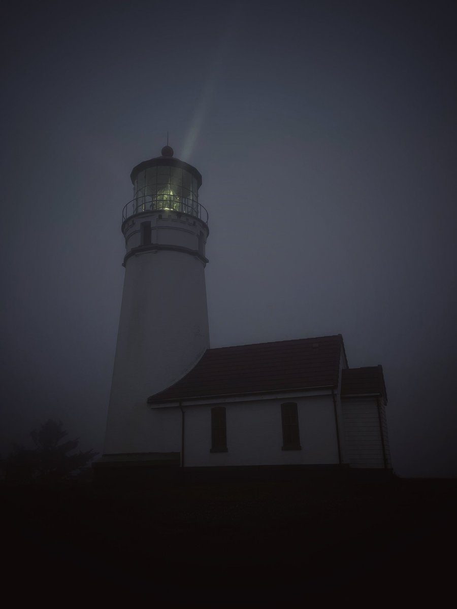 <a href="/BraydenCreation/">Brayden Creations</a> It’s been quite foggy here on the Oregon coast, which has been fantastic for capturing moody photos! These are a few favorites from this week.