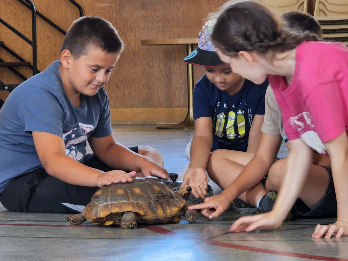 bgcssummercamps's tweet photo. Campers made friends with some unexpected visitors! Thank you @WranglerElisa for bringing your team from the Sask Reptile Show out to meet us!

Opportunity changes everything!

#agoodplacetobe #summercamp @BGCSaskatoon #yxe https://t.co/FRe1hr015Y