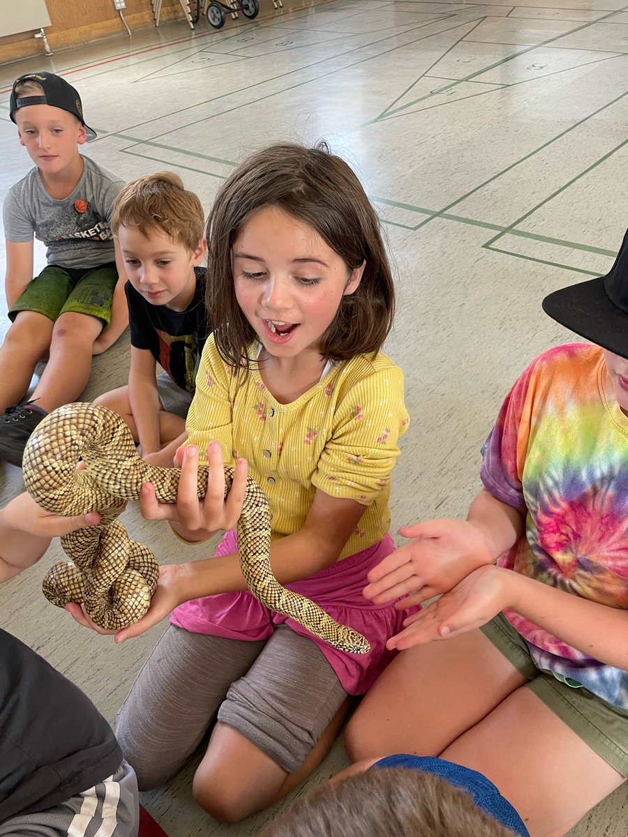 bgcssummercamps's tweet photo. Campers made friends with some unexpected visitors! Thank you @WranglerElisa for bringing your team from the Sask Reptile Show out to meet us!

Opportunity changes everything!

#agoodplacetobe #summercamp @BGCSaskatoon #yxe https://t.co/FRe1hr015Y
