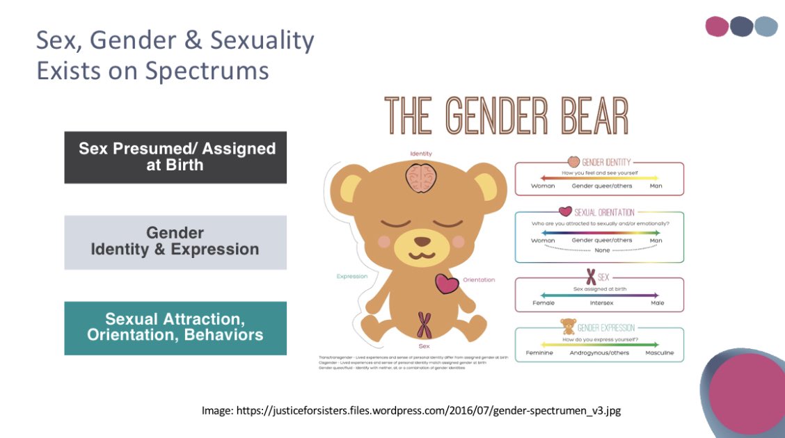 CharmiMD's tweet photo. @UCRadRes learned so much about TRANSGENDER HEALTH from expert Dr. Sarah Pickle @UCincyMedicine @uc_health!! 

We strive to create an inclusive environment in the radiology department starting at the resident level 🏳️‍⚧️🏳️‍🌈💞 https://t.co/sYsssqRpRV
