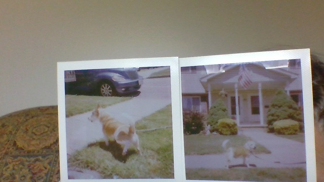 TockEmily's tweet photo. Still a bit blurry, but they're getting the hang of it. These look like they're from the 1970s! https://t.co/ii4upmLULg