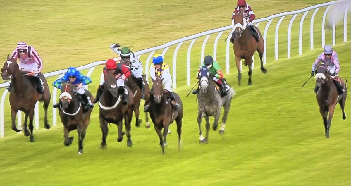 Amateur Jockeys GB tweet media