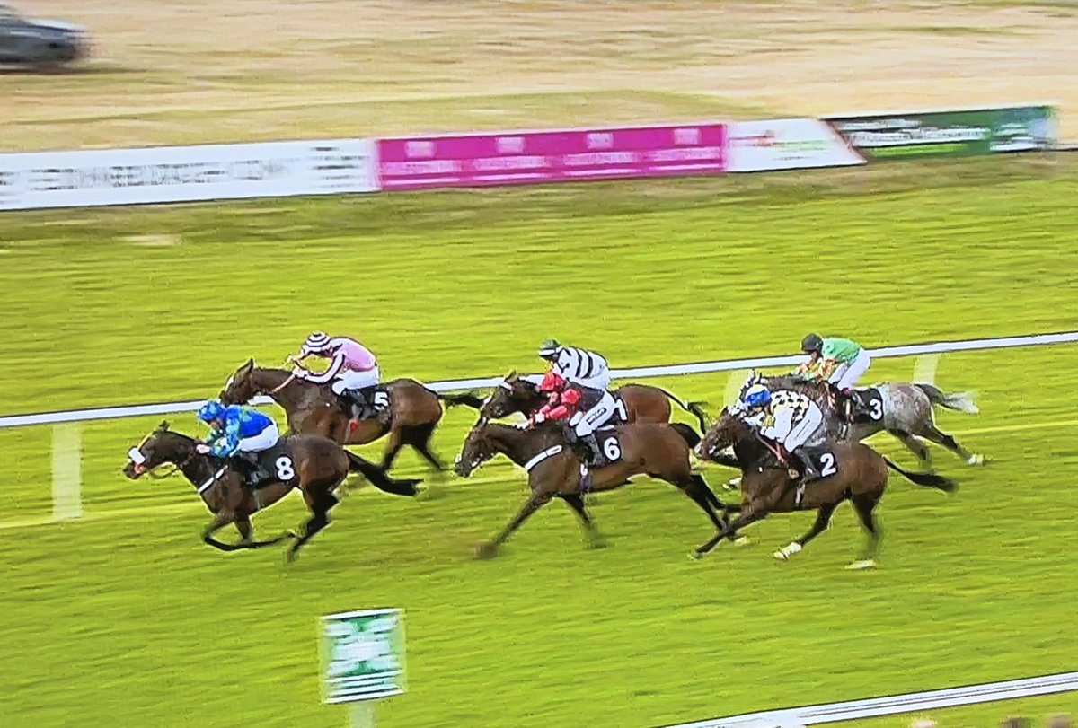 Amateur Jockeys GB tweet media