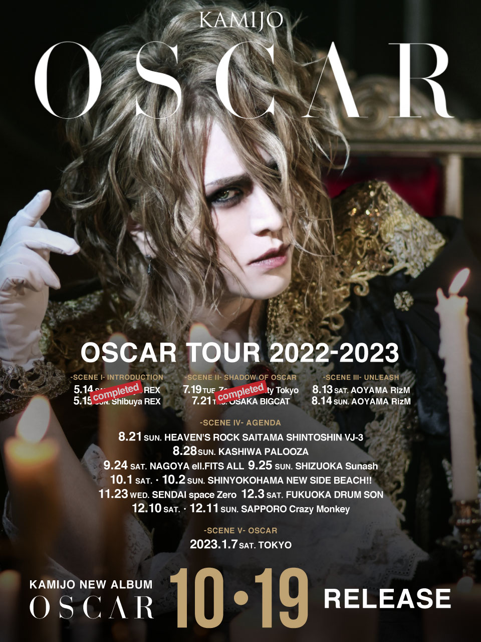 KAMIJO 「LE ROI」会場限定DVD KAMIJO Behind the Scenes DVD 「LE ROI」 プレミアムチケット