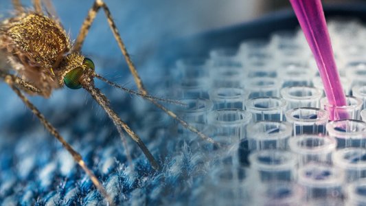 The CREID Network Pilot Research Program supports, trains, and mentors the next generation of #emerginginfectiousdisease researchers. The 2023 Call for Applications will be released September 1, 2022.  creid-network.org/pilot-program