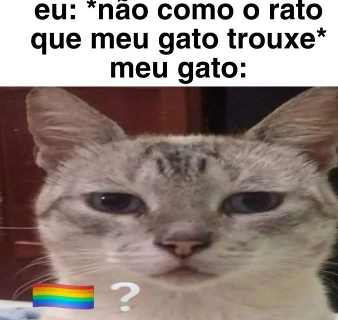 shitpostverdade's tweet photo. https://t.co/BDZWewY7Uf