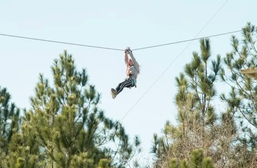 ZipNFun's tweet photo. What are you doing this #summer? ☀️

Come zip into adventure and fun in the trees! 🌳👀

Book your reservations below before spots fill up!

https://t.co/NX6ryJkRNS https://t.co/59XH8mgMzx