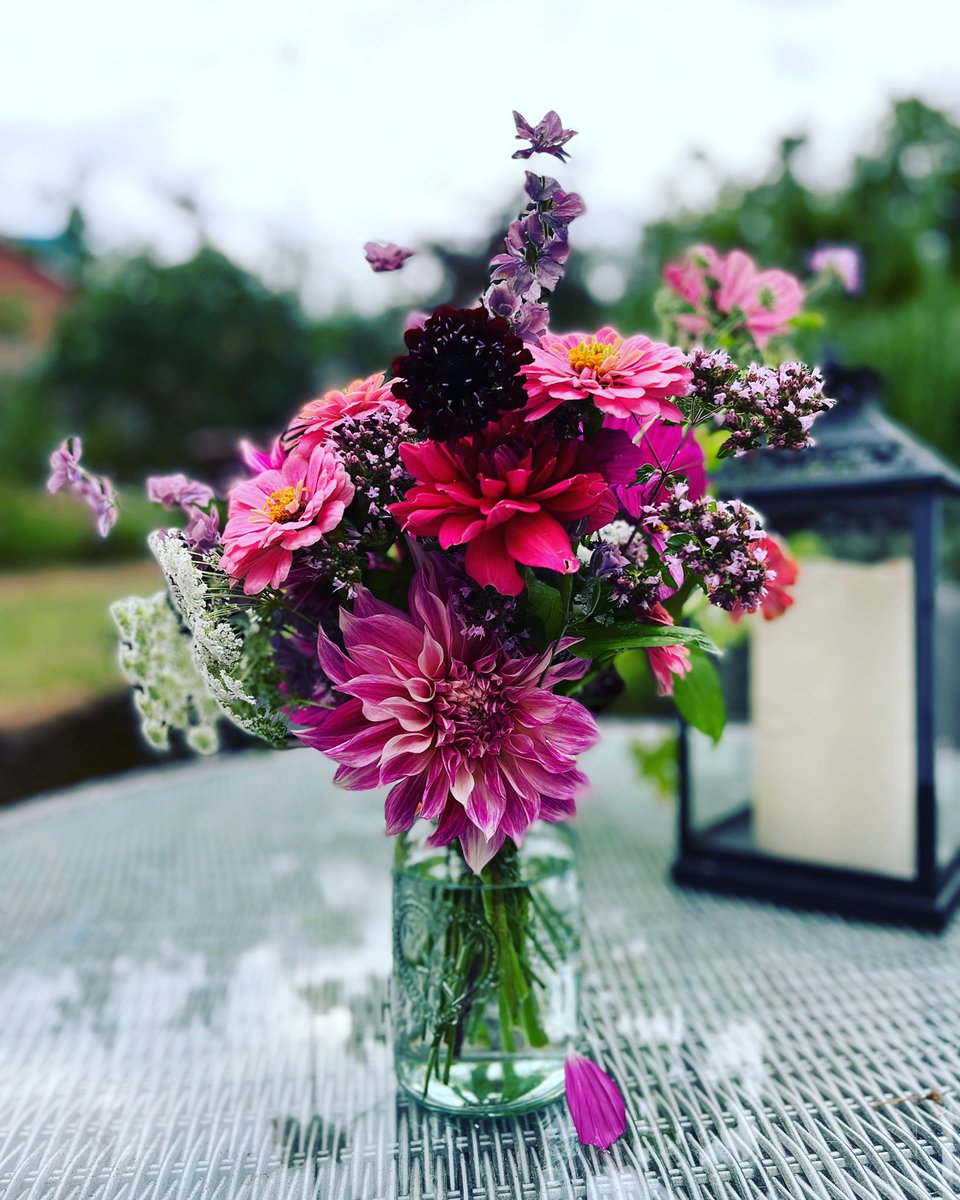 FrankieDev's tweet photo. Week 31 has dahlia Watermelon &amp; Perch hill, cosmos, marjoram, zinnias and anything else I could cut! #somethinginavase https://t.co/vaGoKkUb9a