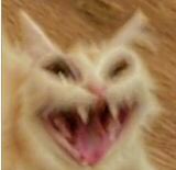 Mr.Miami tweet media