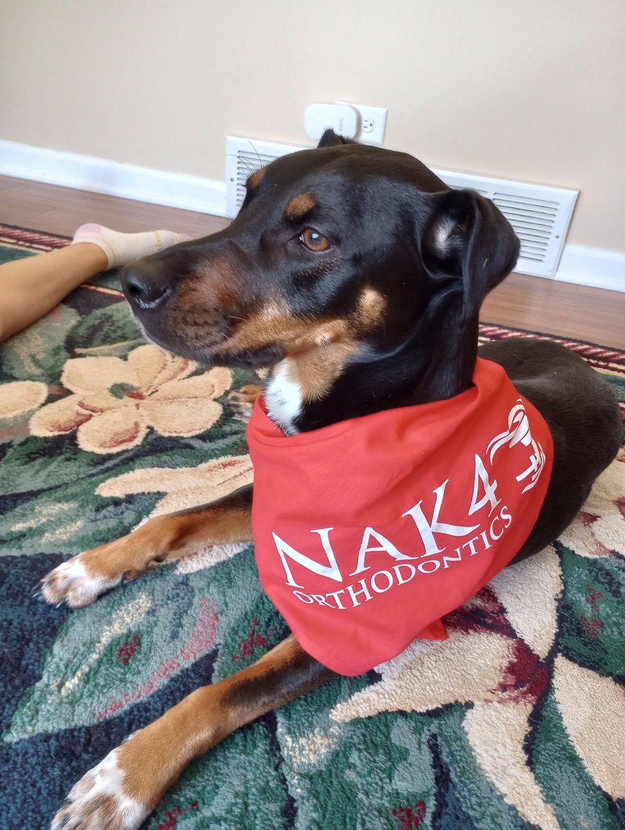 MariaTech25's tweet photo. Thanks for the fun movie day with @AlmostHomeF and a special treat for our pup @Nak4Smiles!
#animalrescue #almosthomefoundation https://t.co/KPTTm0pbAK
