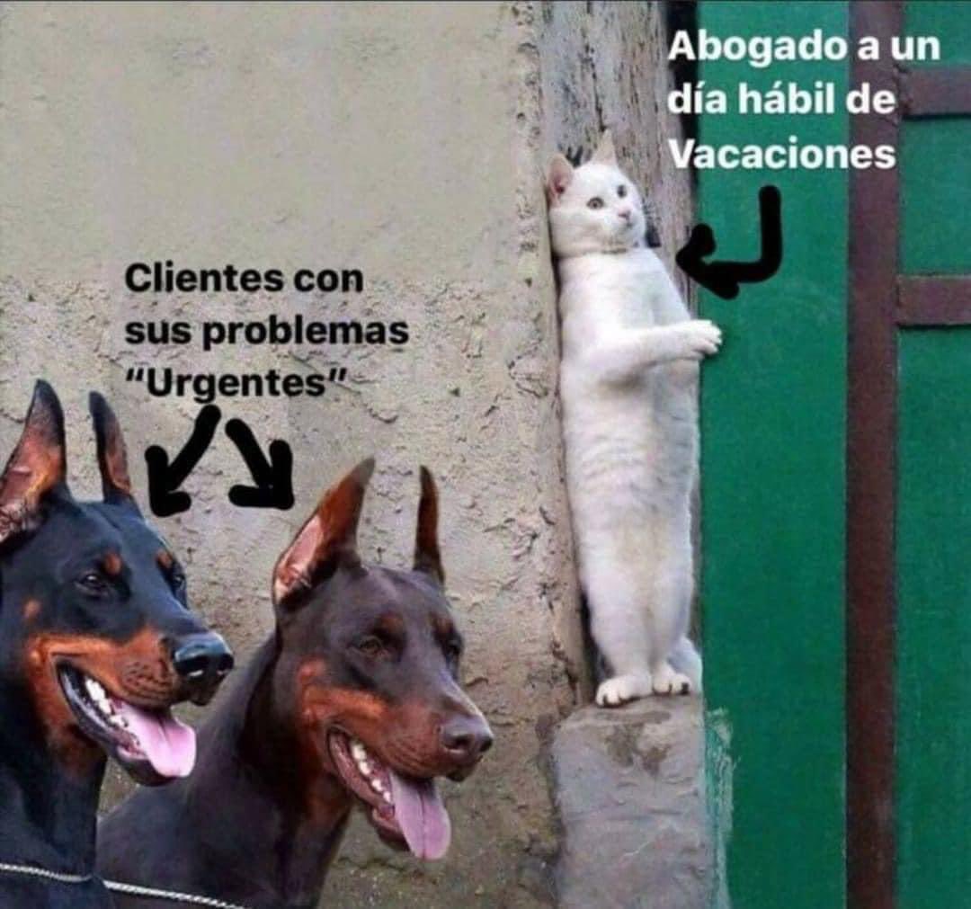Juristanloqcido's tweet photo. https://t.co/9uyEkS4Uh6