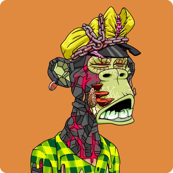 Maximilian Peev tweet media