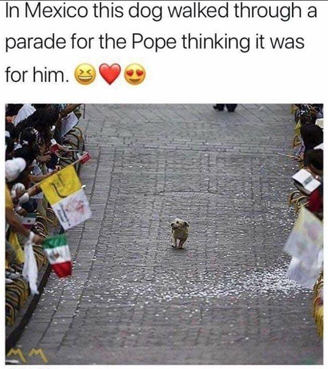 WholesomeMeme's tweet photo. https://t.co/GvMlLjv5To
