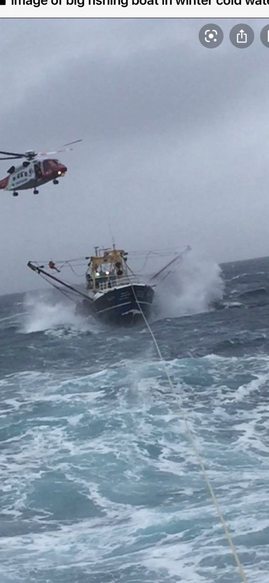 Texas Shrimp Assoc tweet media