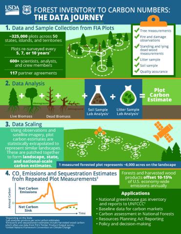 usfs_nrs's tweet photo. Do you wonder how forest inventory measurements convert to carbon numbers?  
Follow the journey in this infographic and visit the @ForestService Forest Inventory &amp; Analysis website to learn more. https://t.co/Ep7jbotNDc

#USDA_FIA https://t.co/Ha2sA6321z