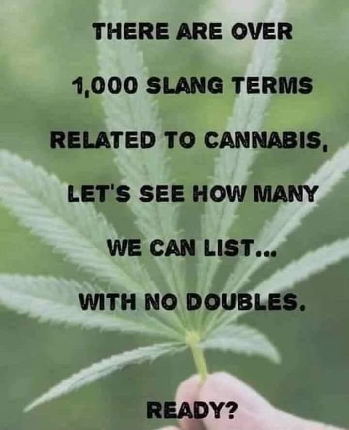 GetYoursStores's tweet image. Mary Jane for starters..... what slang terms do you use in place of "cannabis"?!? 
#cannabis #Maryjane #slangterms #smokeup #smokeinstyle ##smokeshop #getyours #barrevt #shoplocal #opendaily