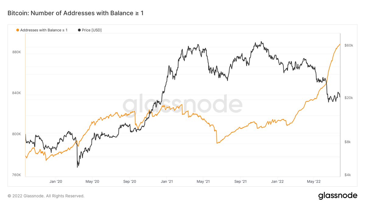 People holding more than 1 #Bitcoin is growing exponentially. 🚀📈🔥