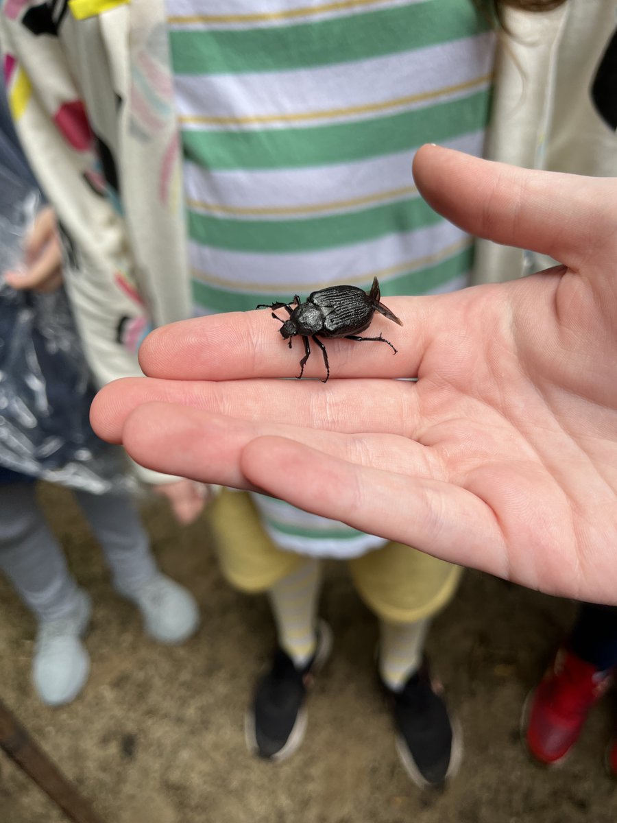 Last week was Field Week with <a href="/UConnNRCA/">Natural Resources Conservation Academy</a>! On forest day we took a hike, learned about measuring trees, growing trees, felling trees, etc. It poured the whole time giving new meaning to the concept of #forestbathing🌧️🌳