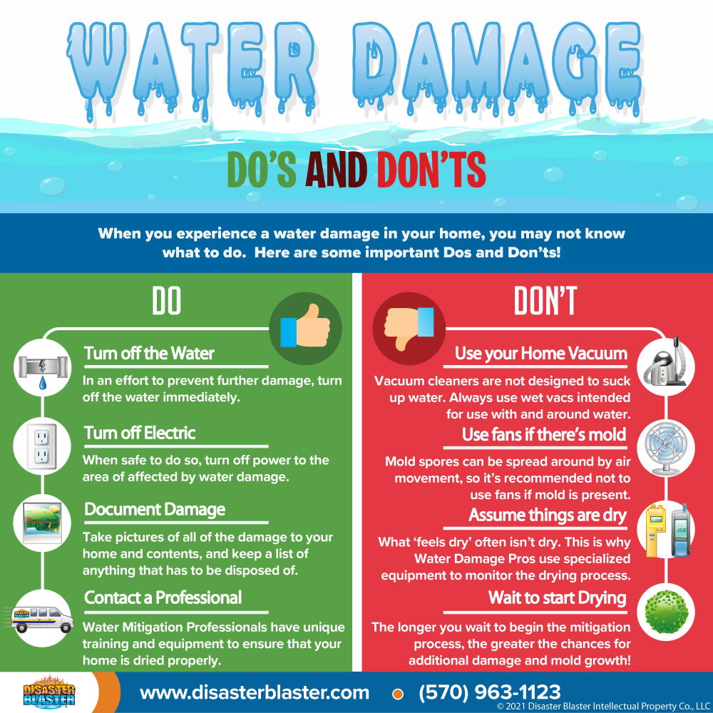 disasterblaster's tweet photo. Do you know what to do when you discover water damage?
Check out this easy Infographic for some helpful tips!
#water #waterdamage #leak #pipebreak #home #house #DisasterBlaster #realestate #realtor #tips #homeowner #scranton #wilkesbarre #hazleton #nepa #infographic https://t.co/ErYthLWq4Y