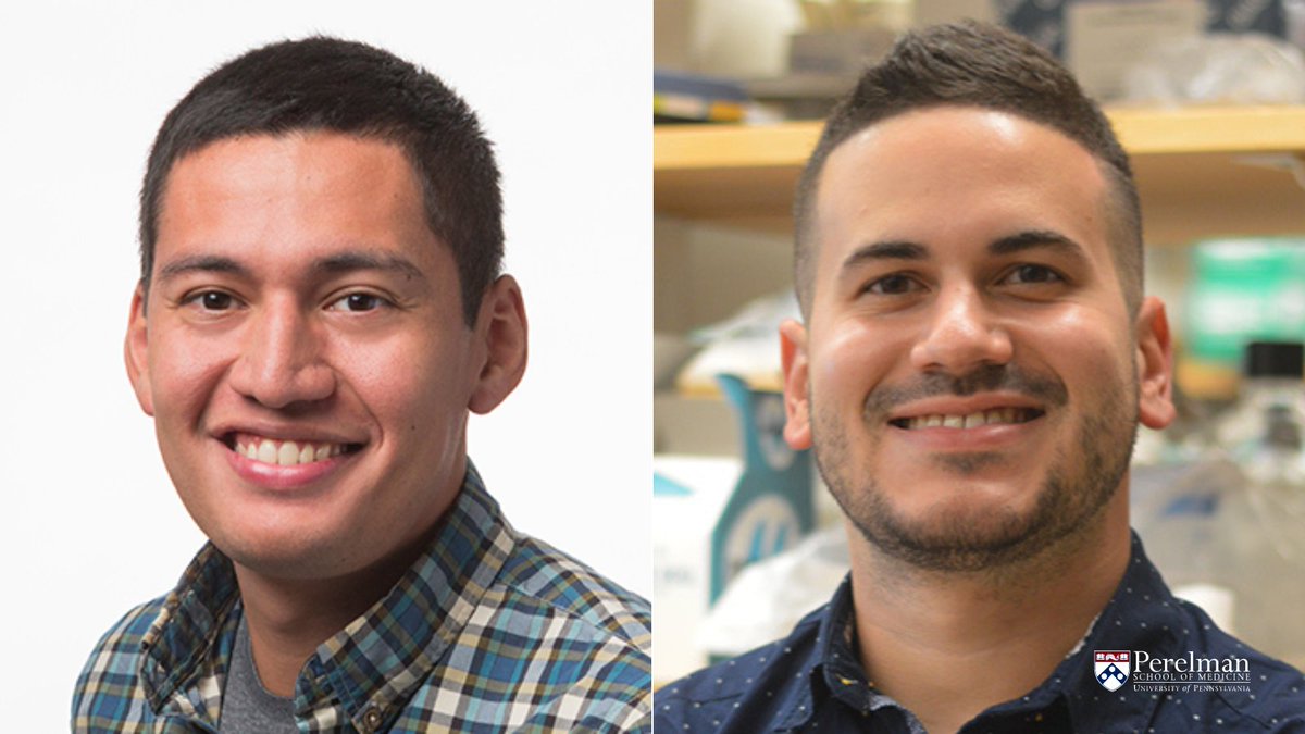Congratulations to <a href="/Jose_S_Campos/">Jose Campos</a> (<a href="/henricksonlab/">Sarah Henrickson</a>) &amp; <a href="/FSRimmuno/">Franklin Staback Rodríguez, PhD 🇵🇷🇻🇪🔬🦠</a> (<a href="/BurkhardtLab/">Dr. Janis Burkhardt</a>), named 2022 <a href="/HHMINEWS/">HHMI</a> #GilliamFellows in recognition &amp; support of their commitment to advancing science through inclusion &amp; diversity!🎉 <a href="/IGGPenn/">Penn IGG</a> @IDEAL_Research <a href="/PennInspire/">Penn INSPIRE</a> bit.ly/3viKa91
