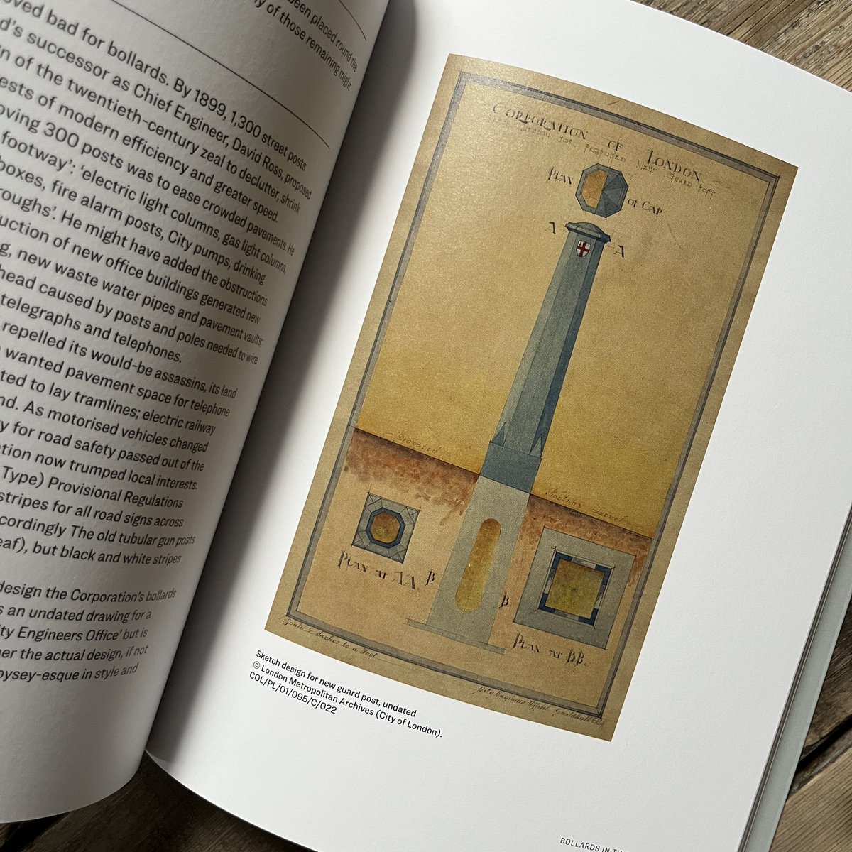 Beatrice Behlen tweet media