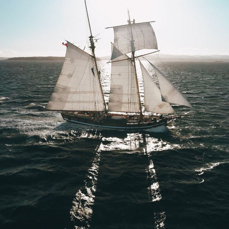 tallshipscan's tweet photo. Look at these smiles! 😎
@saltsvictoria  is back on the water for summer camps, after a two year break, and we couldn’t be happier! 🐋 https://t.co/doBUZxbZEJ