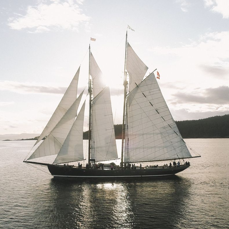 tallshipscan's tweet photo. Look at these smiles! 😎
@saltsvictoria  is back on the water for summer camps, after a two year break, and we couldn’t be happier! 🐋 https://t.co/doBUZxbZEJ