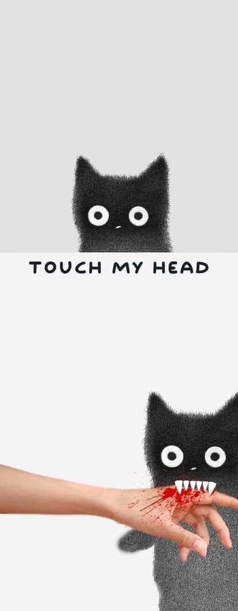Pineapple2417's tweet photo. 🐈‍⬛🐈‍⬛ https://t.co/ODGmiO9pu5