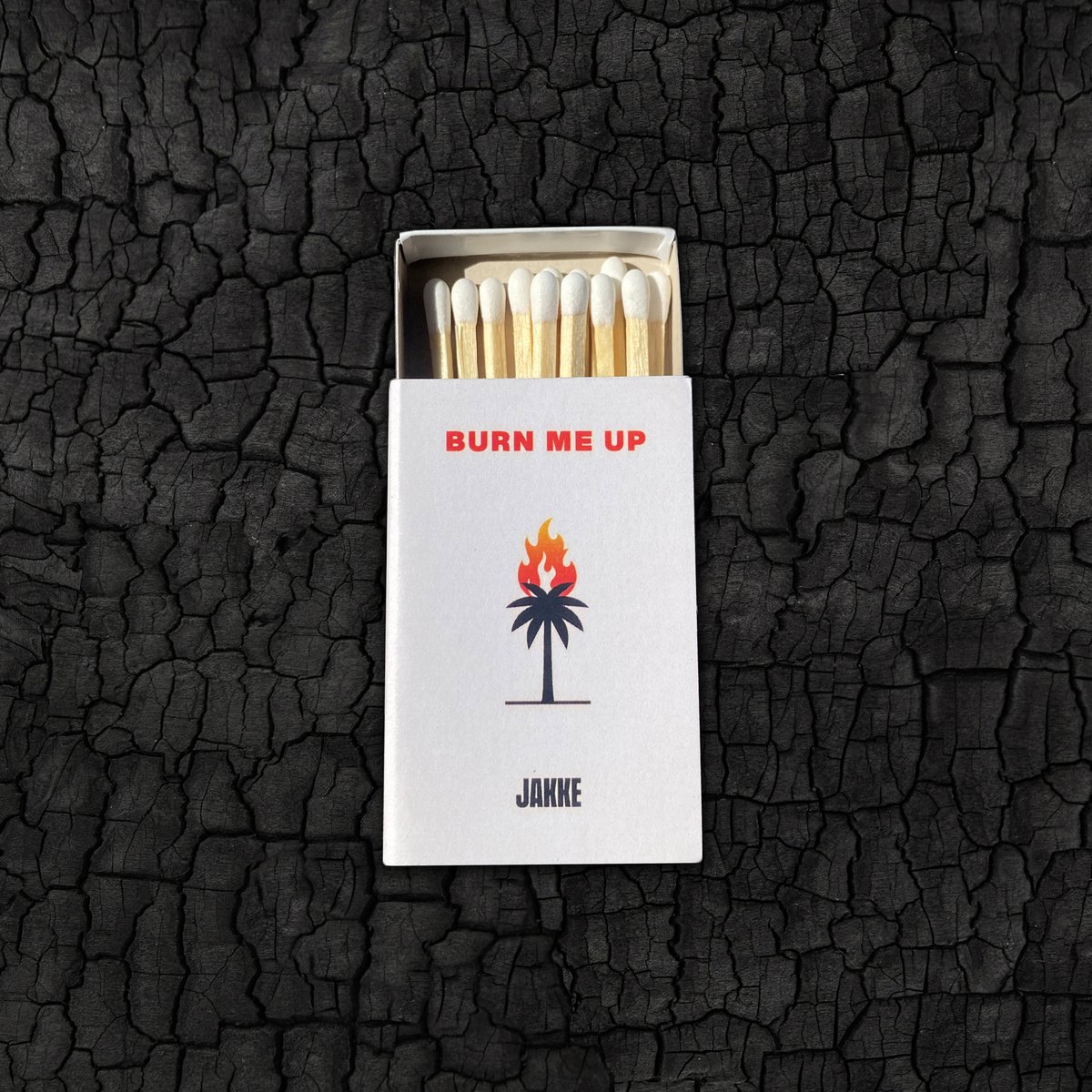 Stoked be dropping a limited run of Burn Me Up merch! All designed by me 🙏 Pre-order now via <a href="/Bandcamp/">bandcamp</a> at the 🔗 Orders over $50 get a free matchbox too 🔥

jakkesounds.bandcamp.com/merch

📸 by <a href="/ladybaguettee/">CLAIRE</a>