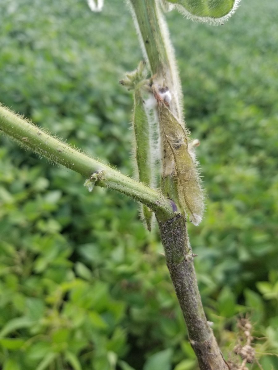 Bryan Cook tweet media