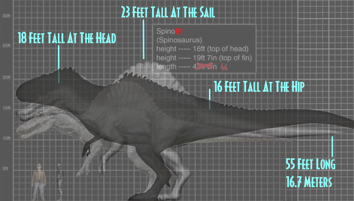 micro Continu isolatie Mecha on Twitter: "@TylerAddison17 @MarioJonesJr3 JWE Sadly Has A Super  Oversized Rex But Their Giga Is Accurate, That Giga Is 18 Feet Or 5.7 Meters  Tall At The Head And 51 Feet
