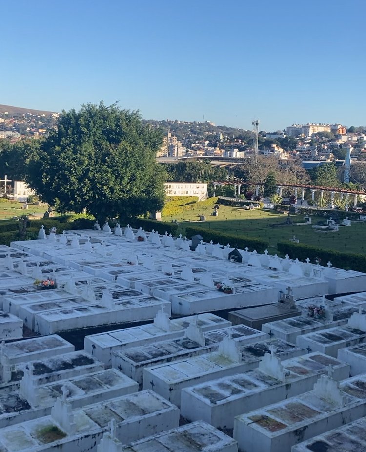 [NDM ONLINE] Museu a céu aberto: uma visita guiada pelo Cemitério da Santa Casa de Misericórdia.

☝🏽Um rolê no cemitério. Topa? Confira o texto completo disponível no nosso site!