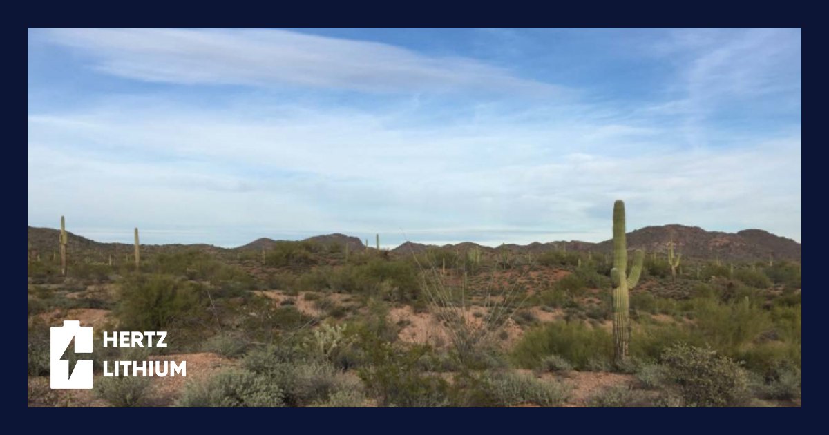 The vegetation growing on our Lucky Mica Property is typical of the Sonoran desert.  Out here, you can find several kinds of cacti, including saguaros, chollas, organ pipe cacti, and more! 🌵  

#arizona #desert #properties #project #lithium #lithiumbattery #mining #exploration