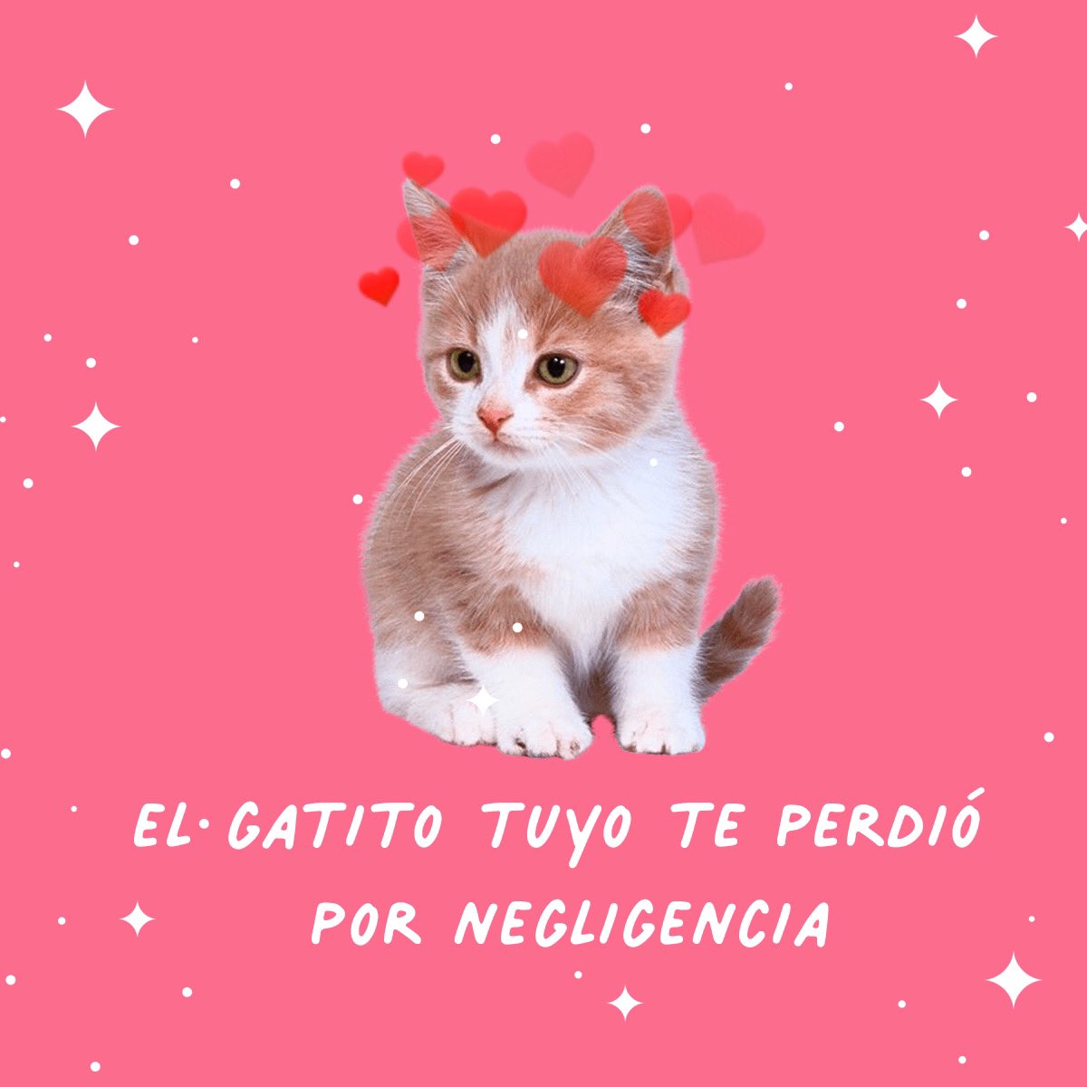perreoenfrases's tweet photo. Ig: perreo en frases https://t.co/x5FtWyrPZb