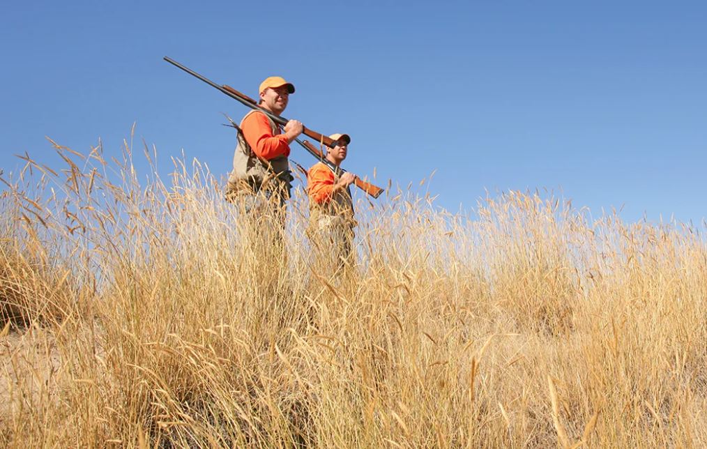 FIELD & STREAM: U.S. Senators Introduce North American Grasslands Conservation Act this week in Potential Boon to Upland Birds bit.ly/3zRBGsx via @FieldandStream w/ @erb_bethany @quail4ever #ActForGrasslands @RonWyden @amyklobuchar @MichaelBennet