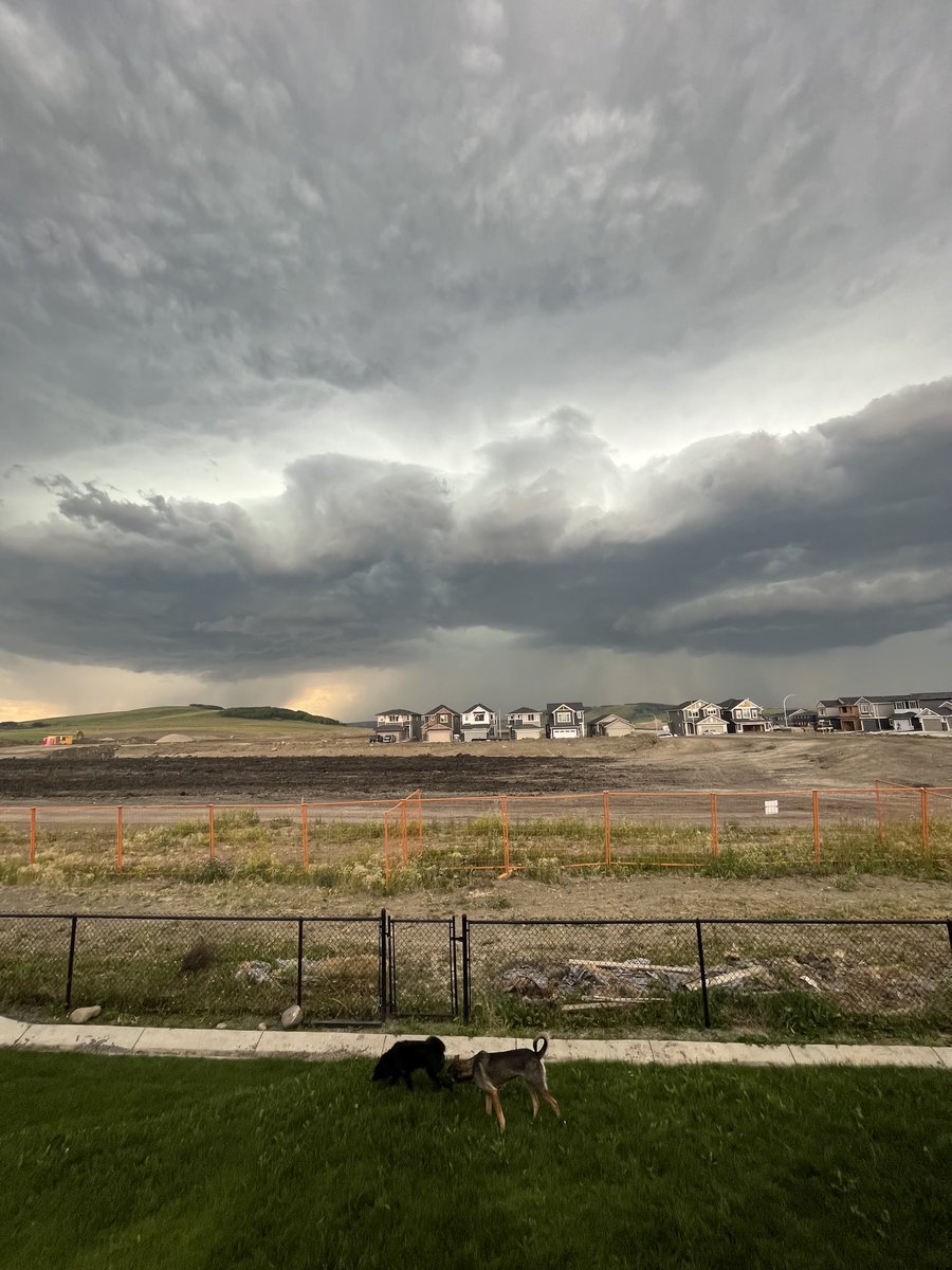⁦<a href="/GlobalCalgary/">Global Calgary</a>⁩ ⁦<a href="/TiffanyLizee/">Tiffany Lizée</a>⁩ here it comes… #yycweather #cochrane #abstorm