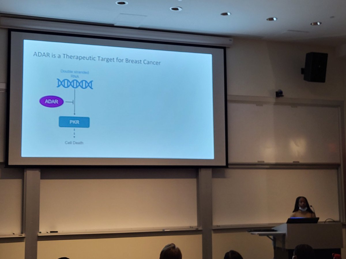 Kyle Cottrell tweet media